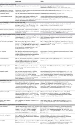 Prenatal Alcohol Exposure in Rodents As a Promising Model for the Study of ADHD Molecular Basis